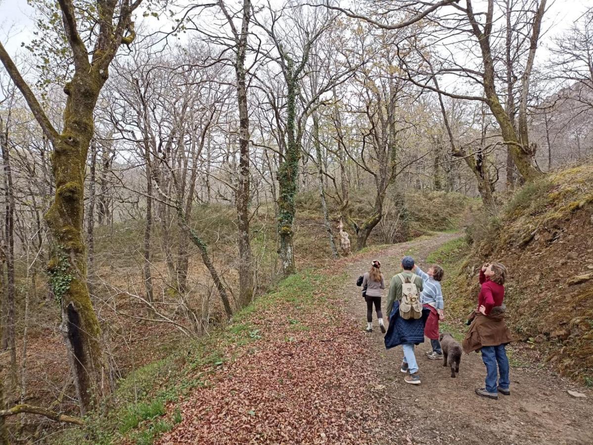 Amplia y cómoda casa de piedra con porche y jardín San Roque de Ríomiera Exterior foto
